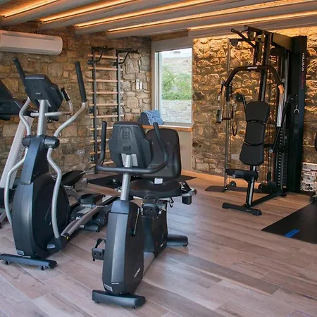 Villa Elegant Mykonos White Satin Private Gym 4 Bedrooms Sea View Tourlos